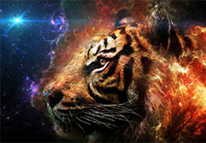 二手车众生相：每个人都想在服务中找出路，但都难绕过流量这头拦路虎